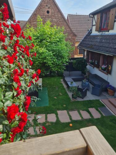 a garden with red roses and a couch at Studio chez Eve et Momo in Ingwiller