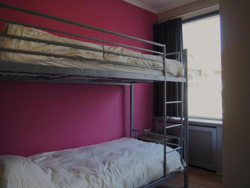 a bedroom with a bunk bed and a purple wall at Ruim appartement met dakterras in Hulst