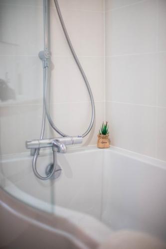 une baignoire avec une pomme de douche et une plante en pot dans l'établissement L'Atelier Dollonnais Gîte spacieux en Sarthe avec studios, piscine chauffée et home cinéma, à Dollon