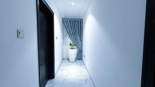 a hallway with a potted plant in a white room at Casa Viola Properties in Takoradi