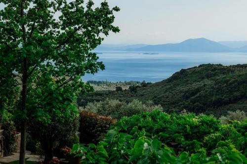 Φυσικό τοπίο κοντά σε αυτή η βίλα