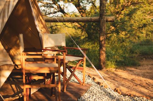 a couple of chairs sitting in a tent at The Leadwood Safari Camp in Dinokeng Game Reserve