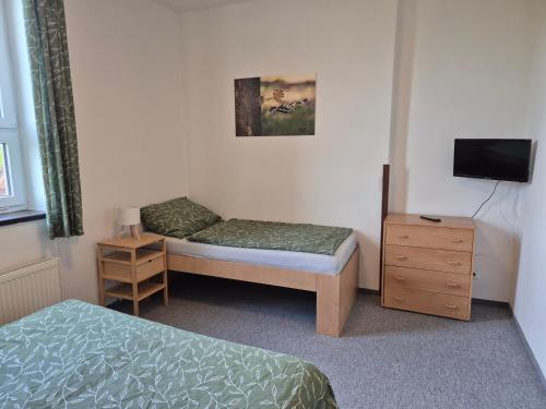 a bedroom with two beds and a dresser and a television at Penzion U Skokovské báby in Žehrov