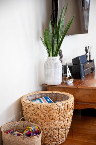 a plant in a white vase sitting on a desk at Sapphire Magic 1B in Urunga