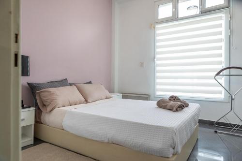 Pisistratos Cozy Apartment