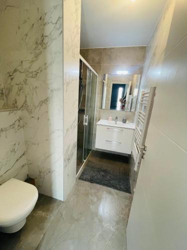 une salle de bain avec toilettes et lavabo dans l'établissement Villa cosy 10 min de Montpellier, à Saussan