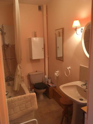 une salle de bain avec toilettes, lavabo et baignoire dans l'établissement Appartement dernier étage, très belle vue - Centre-ville, à Vichy