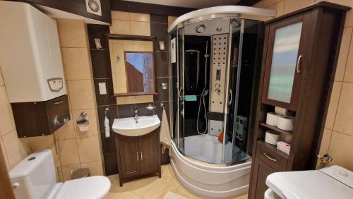 un bagno con lavandino, doccia e WC di Apartament z ogródkiem a Ciechocinek