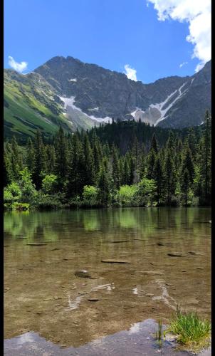 a lake with trees and mountains in the background at Na Divokom Vŕšku in Jamník