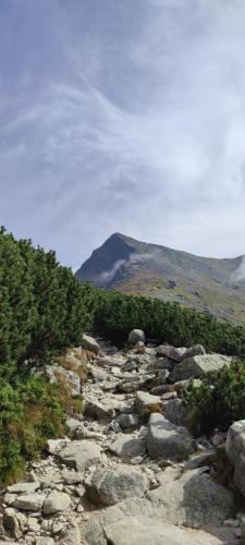 a rocky path with a mountain in the background at Na Divokom Vŕšku in Jamník