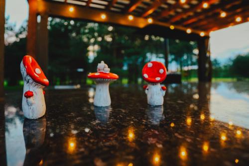 three miniature mushrooms in the rain on a patio at Baldones dabas retrīts - Exclusive private nature retreat with optional jacuzzi and sauna near Riga in Pulkarne