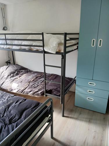 a bedroom with two bunk beds and a blue cabinet at Ruim en rustig chalet in Nationaal park de Drentsche Aa max 5 prs in Anloo