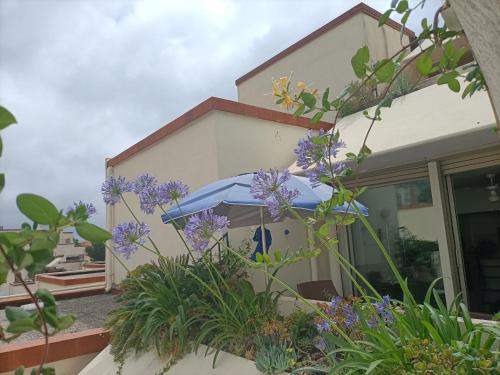 En have udenfor relax e atmosfera di mare