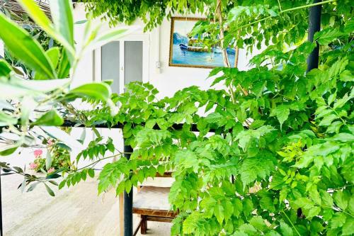 Bunec Seascape Villa Apartmentsにある庭