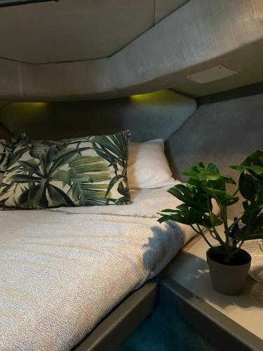 a bed with a pillow and a potted plant at barco marismas del sur in Punta Umbría