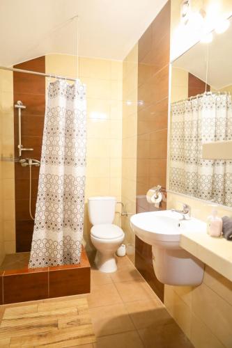 a bathroom with a toilet and a sink and a shower at Gospodarstwo Agroturystyczne Pod Lasem Maria Płazio in Narol