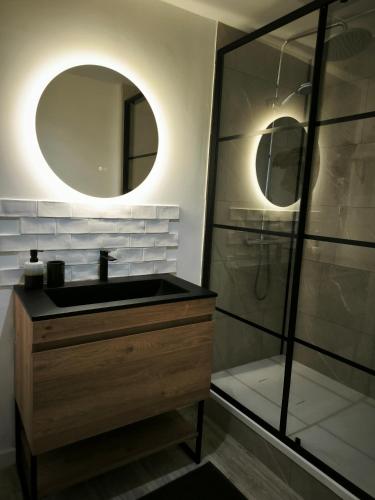 une salle de bain avec un lavabo et un miroir dans l'établissement Duplex le Fort rouge, à Boulogne-sur-Mer