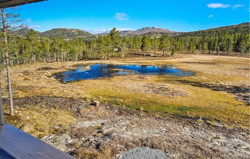 una vista aérea de un estanque en un campo con árboles en 4 Bedroom Stunning Home In Eggedal, en Eggedal