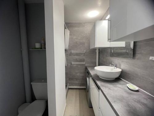 une salle de bain avec un lavabo et des toilettes dans l'établissement DEUX PIECES EN REZ DE CHAUSSEE A DEUX PAS DE LA PLAGE DU MOLE, au Cap d'Agde