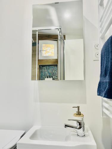 une salle de bain blanche avec un lavabo et un miroir dans l'établissement Appartement - Rez de Jardin, à Varreddes