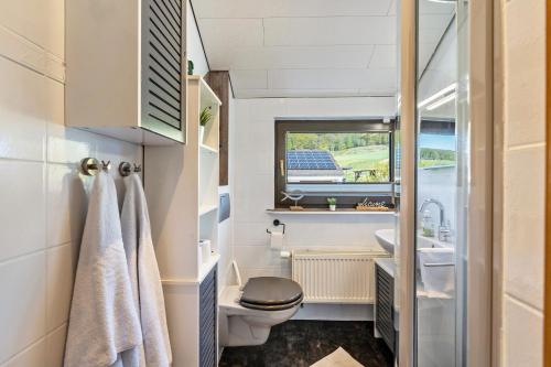 a bathroom with a toilet and a sink and a window at Ferienwohnung im Elsetal in Plettenberg