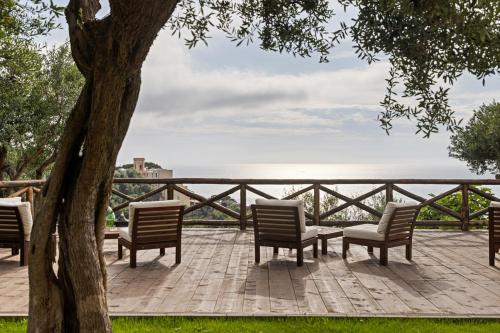 a patio with chairs and a table and a tree at Casa Clementina Marciano in Massa Lubrense
