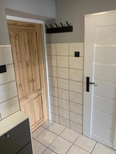 a bathroom with a shower with a wooden door at Przytulne Studio Góry Sowie in Bielawa