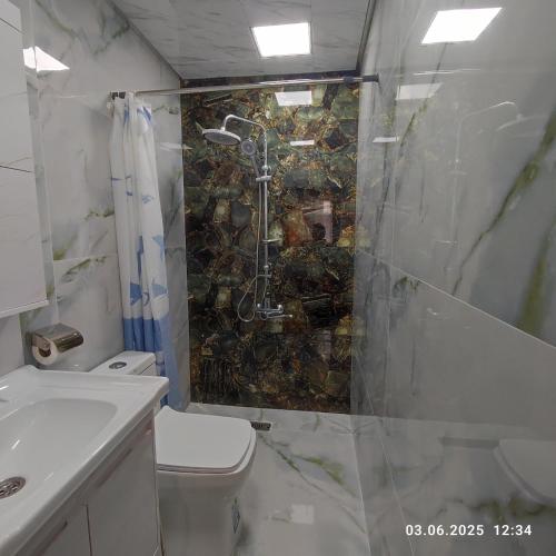 a bathroom with a shower and a toilet and a sink at Kuki house in Ganja