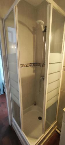 une douche avec une porte vitrée dans une salle de bain dans l'établissement La plage, à Saint Cyprien Plage