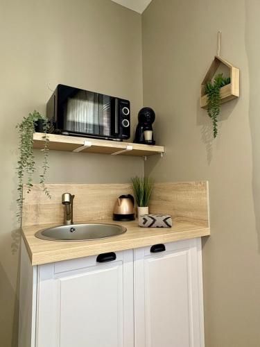 une cuisine avec un évier et un micro-ondes dans l'établissement Le Studio, à Anstaing