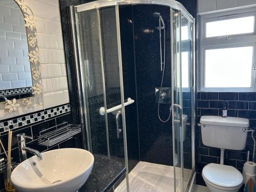 a bathroom with a shower and a toilet and a sink at Cosy flat by Penzance harbour in Penzance