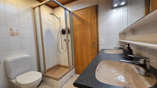 a bathroom with a toilet and a sink and a shower at Alpine Loft, Central, Balcony, Parking, Family,PS5 in Frutigen