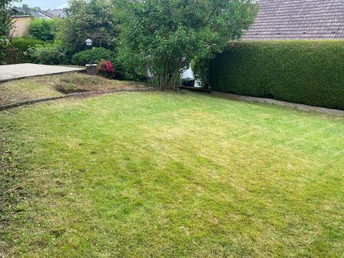 a grassy yard with a tree and a hedge at Familien Ferienhaus in der Vulkaneifel -Mechthild- in Ettringen