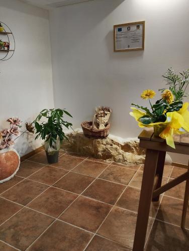Galería fotográfica de Agriturismo La Collina delle Api en Castelcucco