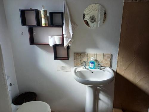 a bathroom with a sink and a mirror and a toilet at Lake View Cottage Unit 7 in Rosetta