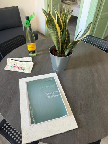 a table with a plant and a picture on it at LUCE SUL LAGO - CENTRO STORICO - Lake 3min walking in Bellano