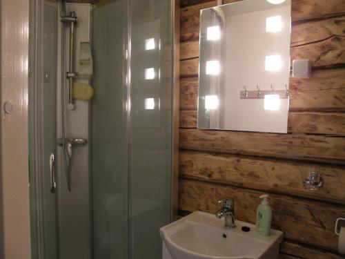 a bathroom with a shower and a sink and a mirror at Ranna Villa Farm in Küdema