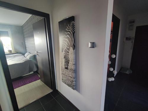 Mieszkanie dwupokojowe przy Openerze