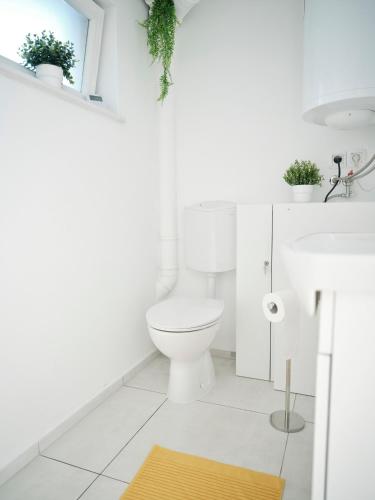 Un baño blanco con inodoro y alfombra. en Peak & Pause, en Bistrica pri Limbušu