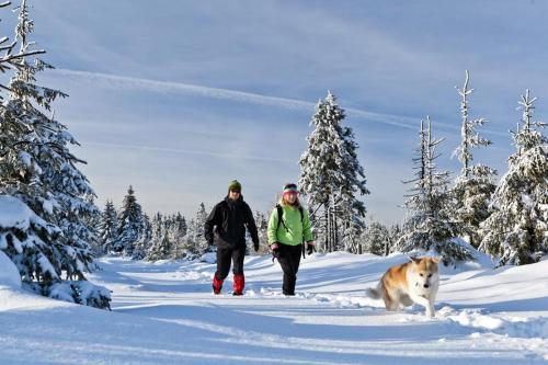 a man and a woman walking in the snow with a dog at Chalet Hahnenklee mit Sauna und Kamin, Harz - Blockhaus in Hahnenklee-Bockswiese