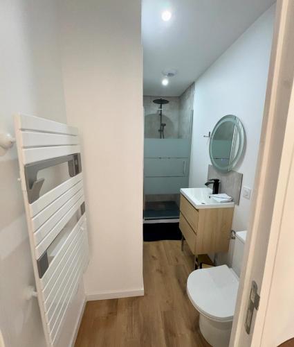 une salle de bain avec toilettes, lavabo et miroir dans l'établissement Appartement cosy et rénové au cœur des vignes du Beaujolais, à Jullié