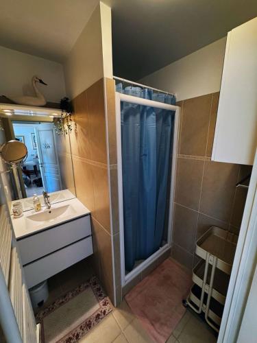 une petite salle de bain avec un lavabo et une douche dans l'établissement Charlotte piscine parking, à Cannes