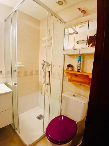 a bathroom with a shower and a toilet with a purple seat at Appartement SOL in Empuriabrava