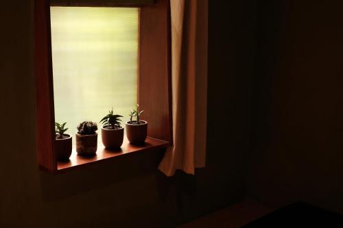 three potted plants sitting on a window sill at Abrakadabra Manshon in Timuran