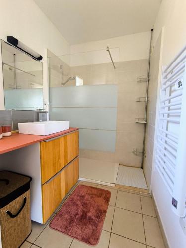 une salle de bain avec un lavabo et un miroir dans l'établissement bel appartement avec jardin, à Poggio-Mezzana