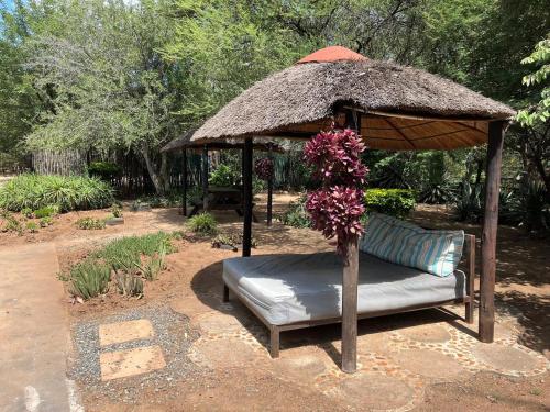 a bed under a large umbrella in a garden at Phokoje Bush Lodge in Selebi-Pikwe