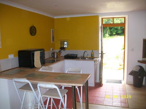 a kitchen with yellow walls and a table and chairs at le petit chez soi du lac in Saint-Plantaire