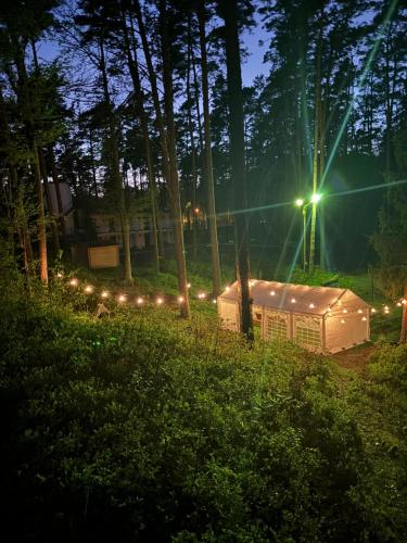 a tent with lights in a field at night at Perła in Stegna