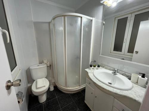 a bathroom with a shower and a toilet and a sink at Matiko habitaciones in Bilbao