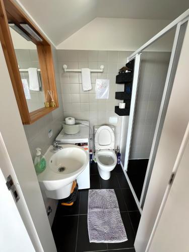 a small bathroom with a toilet and a sink at Casa de Labrujó - Vista Panorâmica e Tranquilidade in Ponte de Lima